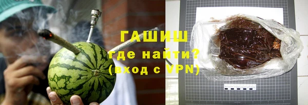 сатива Заводоуковск