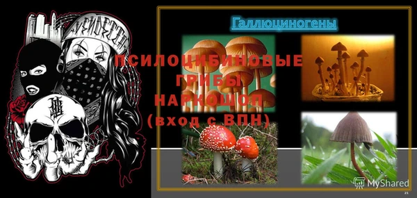 альфа пвп Заволжье